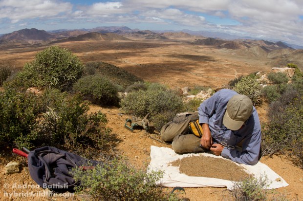 Entomologist at work - Canon 7D, sigma 15mm fisheye (1/2000, f/9, 500iso)