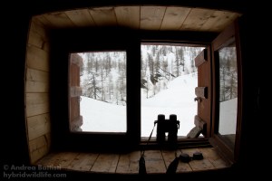 Alpine cabin's window - Canon 7D, sigma 15mm fisheye/2.8 (f/9.0, 1/100, 400iso)