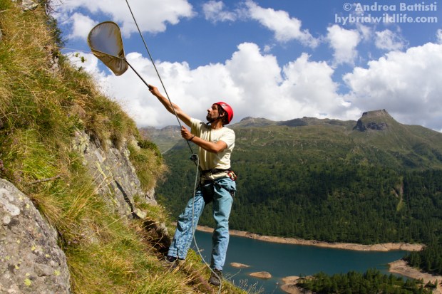 Alpine biologist at work - Canon 7D, sigma15mmf/2.8 fisheye (f/, 1/, iso)